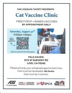 Feline Vaccine Clinic Flyer