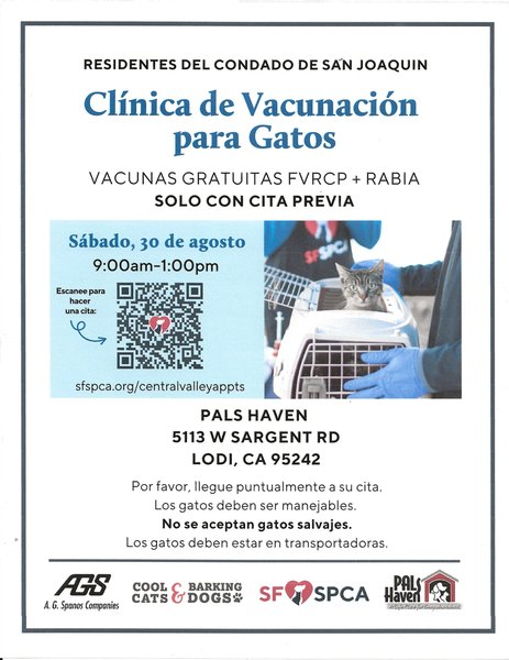 Feline Vaccine Clinic - Spanish