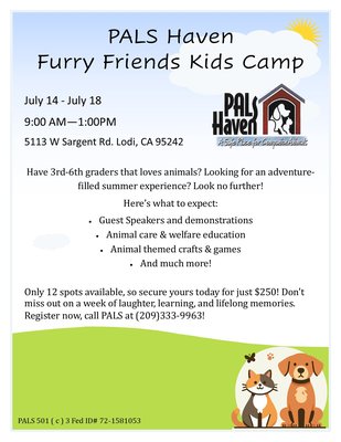 Furry Friends Kids Camp Summer 2025 Updated Date