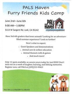 Furry Friends Kids Camp Summer 2025