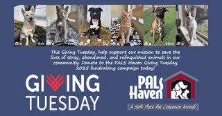 Giving Tuesday Banner copy