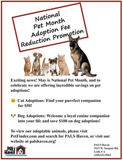 May Pet Adoption Promotion