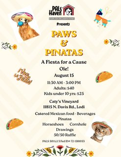 Paws & Pinatas