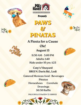 Paws & Pinatas