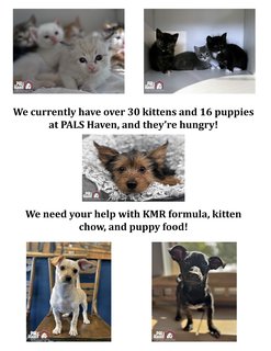 Pet Supplies Plus Kittens and Puppies copy