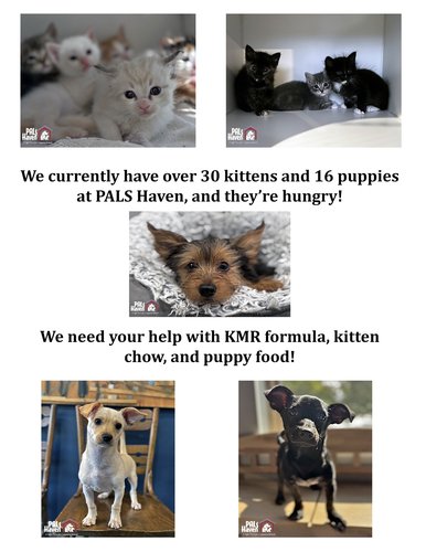 Pet Supplies Plus Kittens and Puppies copy