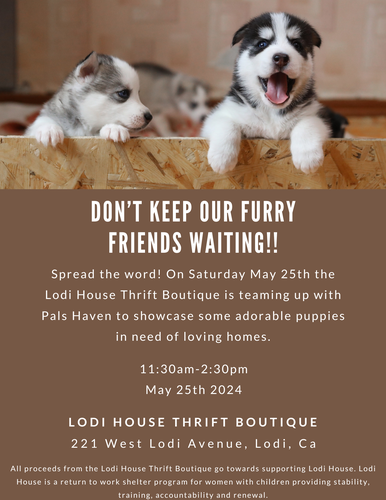 Puppy Showcase Flyer (5)