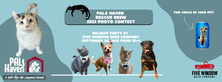 Rescue Brew 2025 Photo Contest