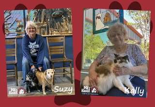 Suzy & Kally Adoptions